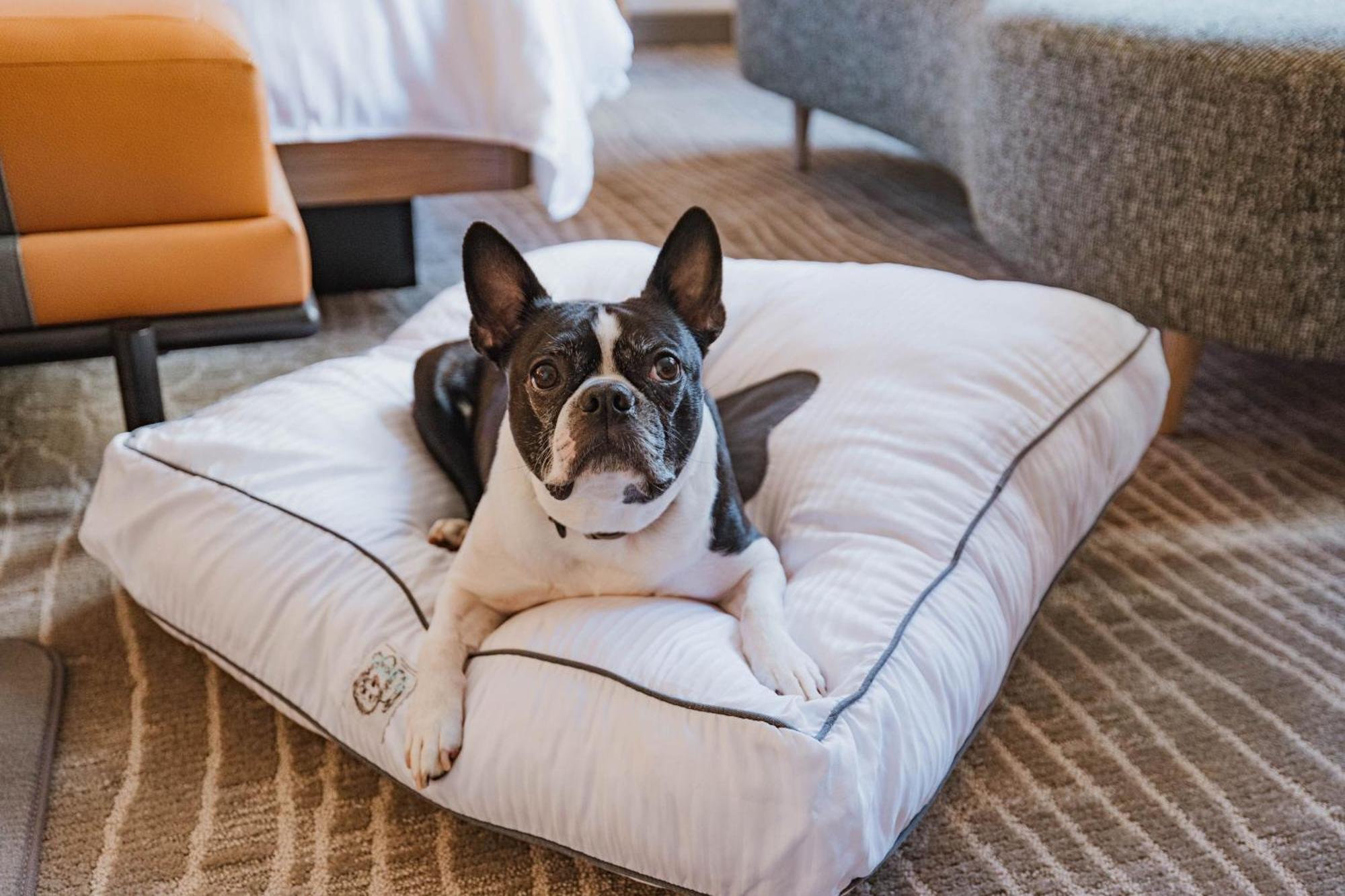 The Westin Book Cadillac Детройт Экстерьер фото